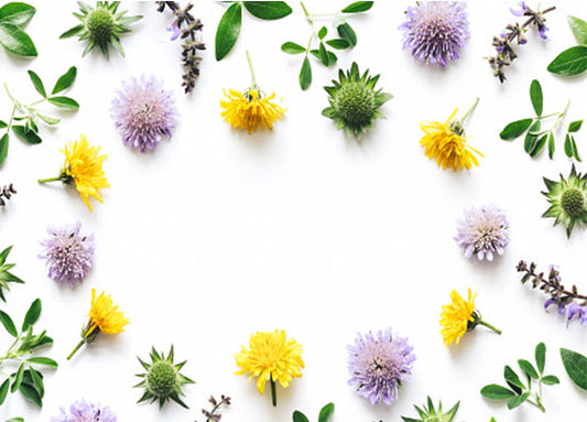 Blumen im Kreis gelegt