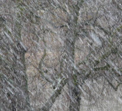schneefall
